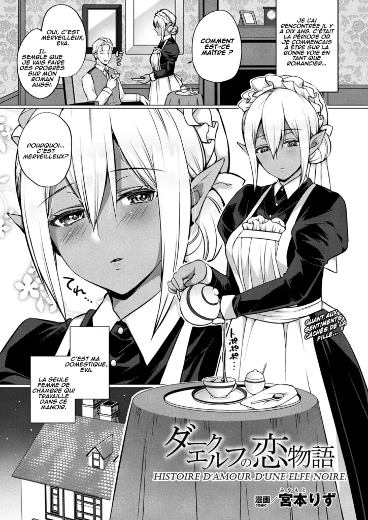 Histoire d’amour d’une elfe noire