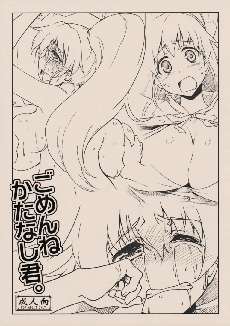 Désolée, Katanashi-kun.